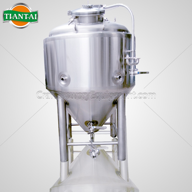 <b> 2 bbl Nano fermenting tanks</b>